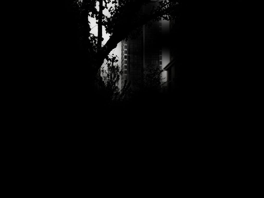 Masks — black and white layer mask